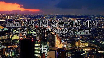 도쿄 3박 4일 알뜰 여행: 예산 걱정 없이 꿈꿔왔던 도쿄!